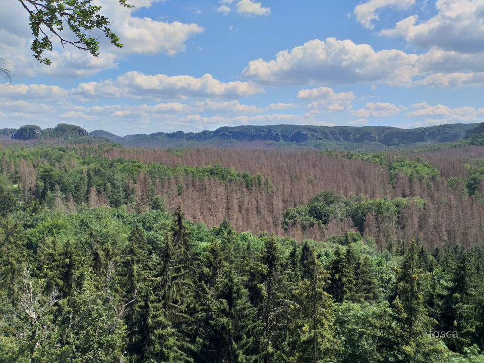 Blick durch den Kuhstall im Elbsandsteingebirge
