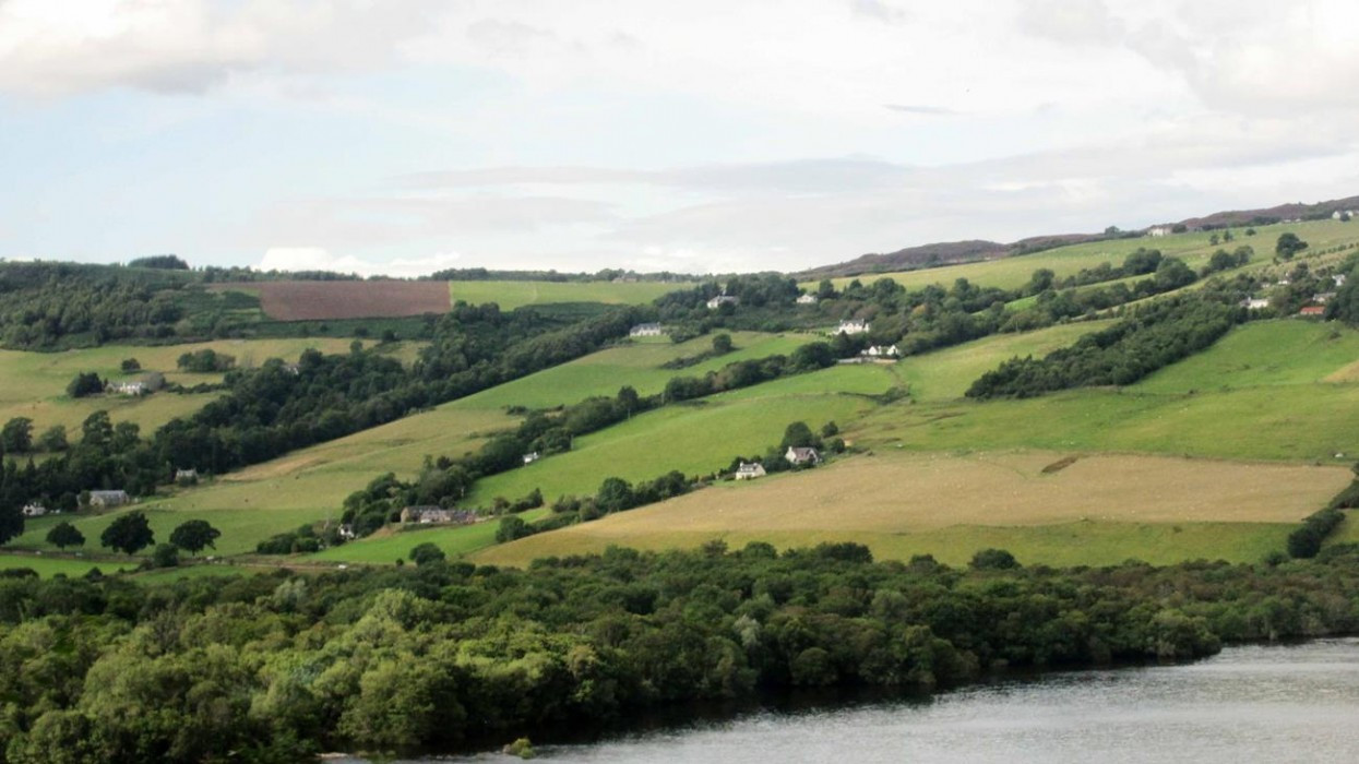 Schottland2_53