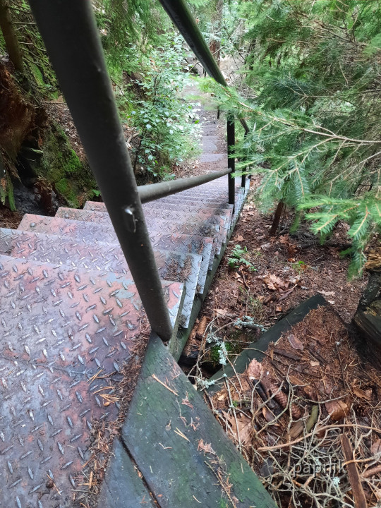 Treppen
