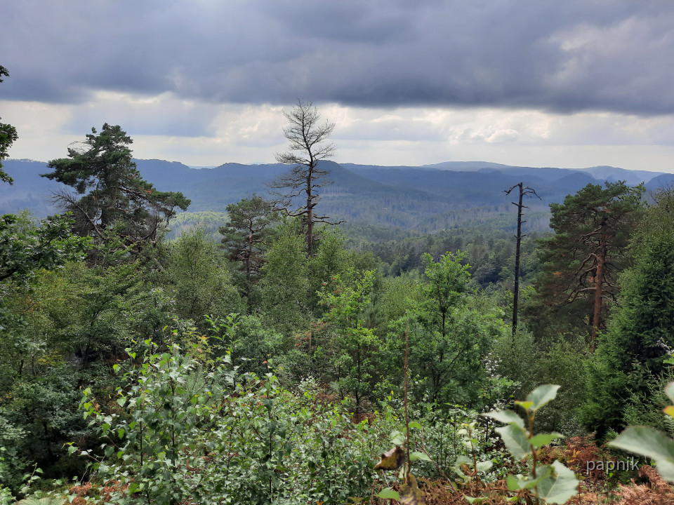 Ausblick