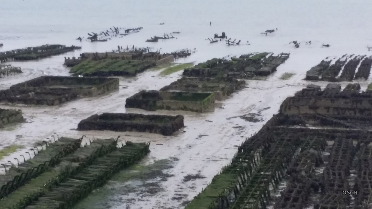 Cancale in der Bretagne mit den berühmten Austernbänken