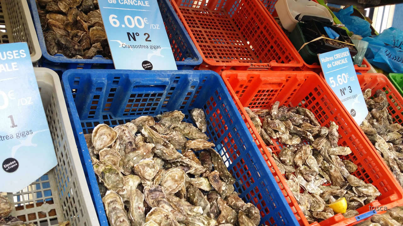 Cancale in der Bretagne mit den berühmten Austernbänken