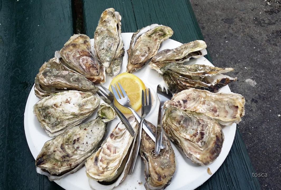 Cancale in der Bretagne mit den berühmten Austernbänken