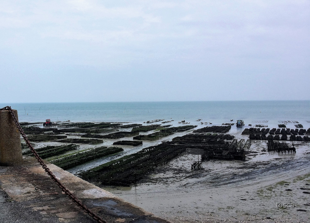 Cancale in der Bretagne mit den berühmten Austernbänken