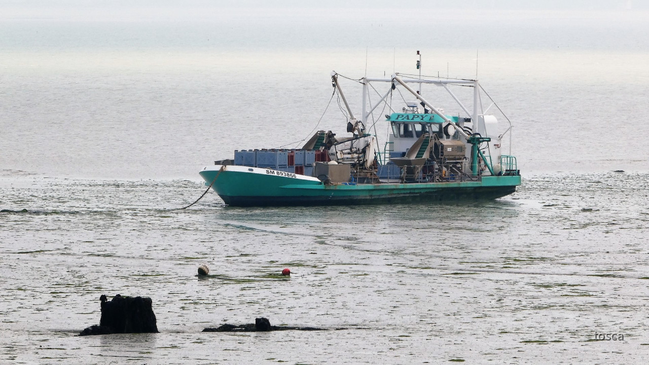 Cancale in der Bretagne mit den berühmten Austernbänken