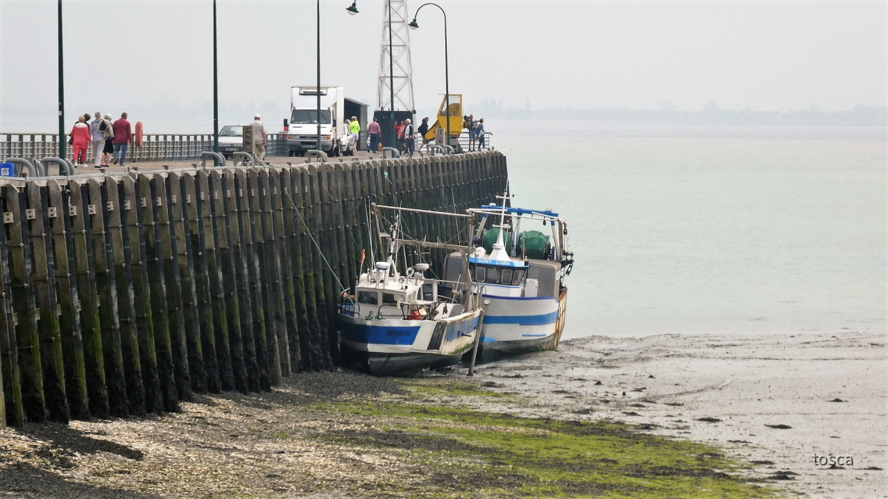 Cancale in der Bretagne mit den berühmten Austernbänken