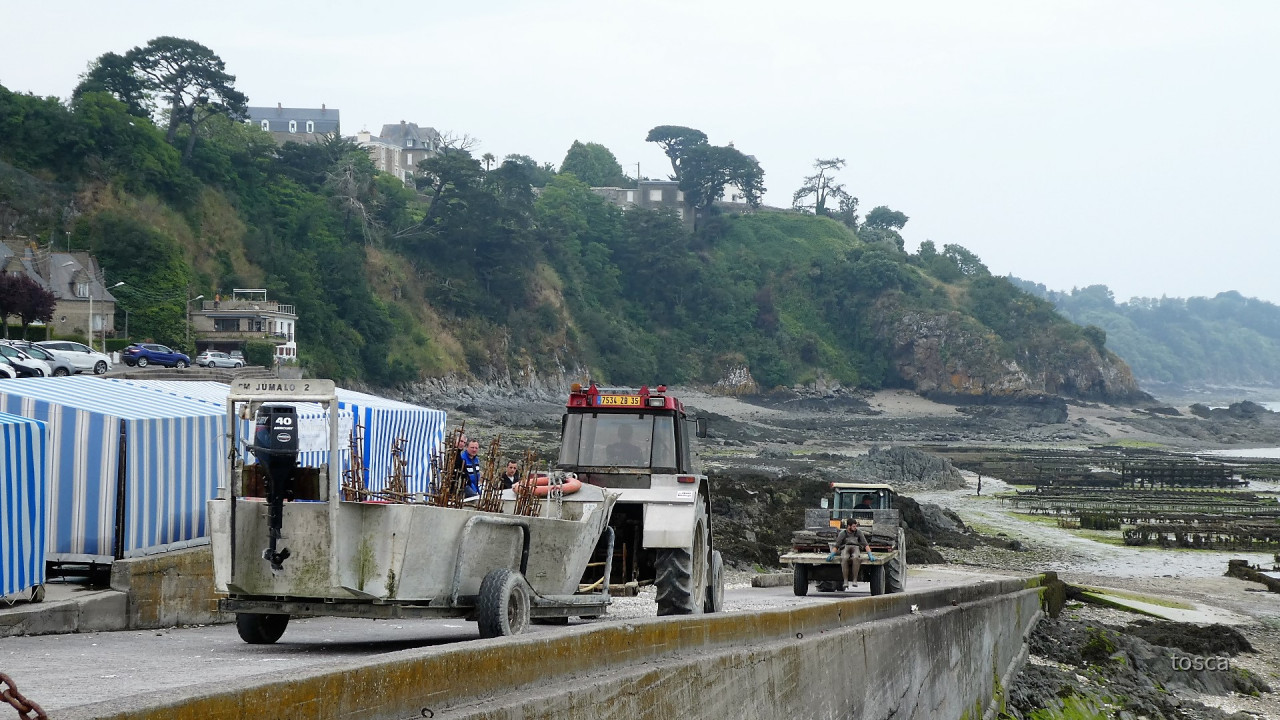 Cancale in der Bretagne mit den berühmten Austernbänken
