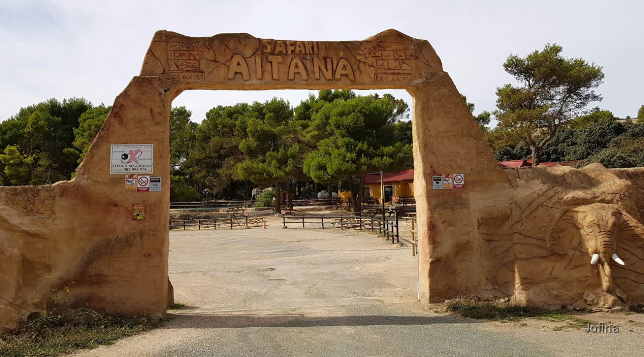 Safari Aitana 01