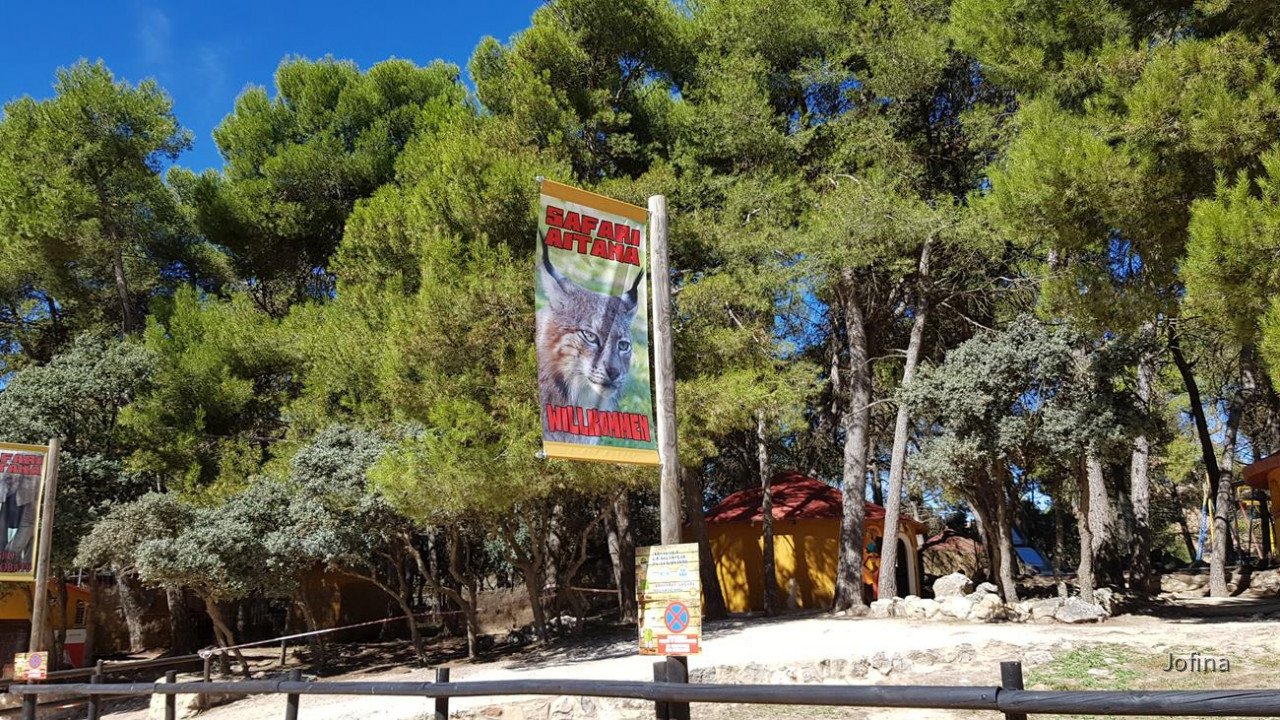 Safari Aitana 03