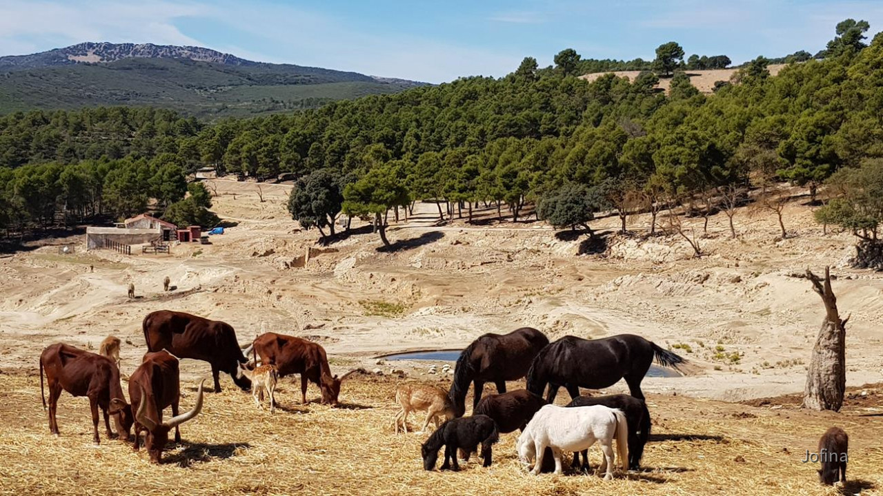 Safari Aitana 19