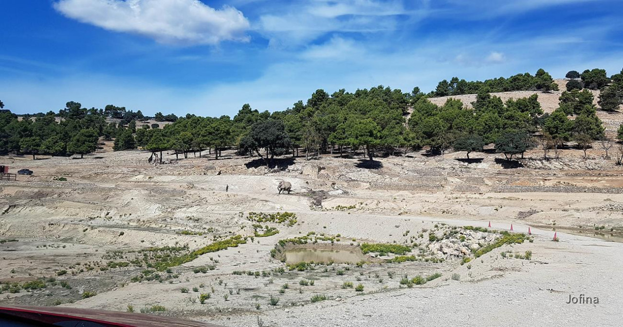 Safari Aitana 22