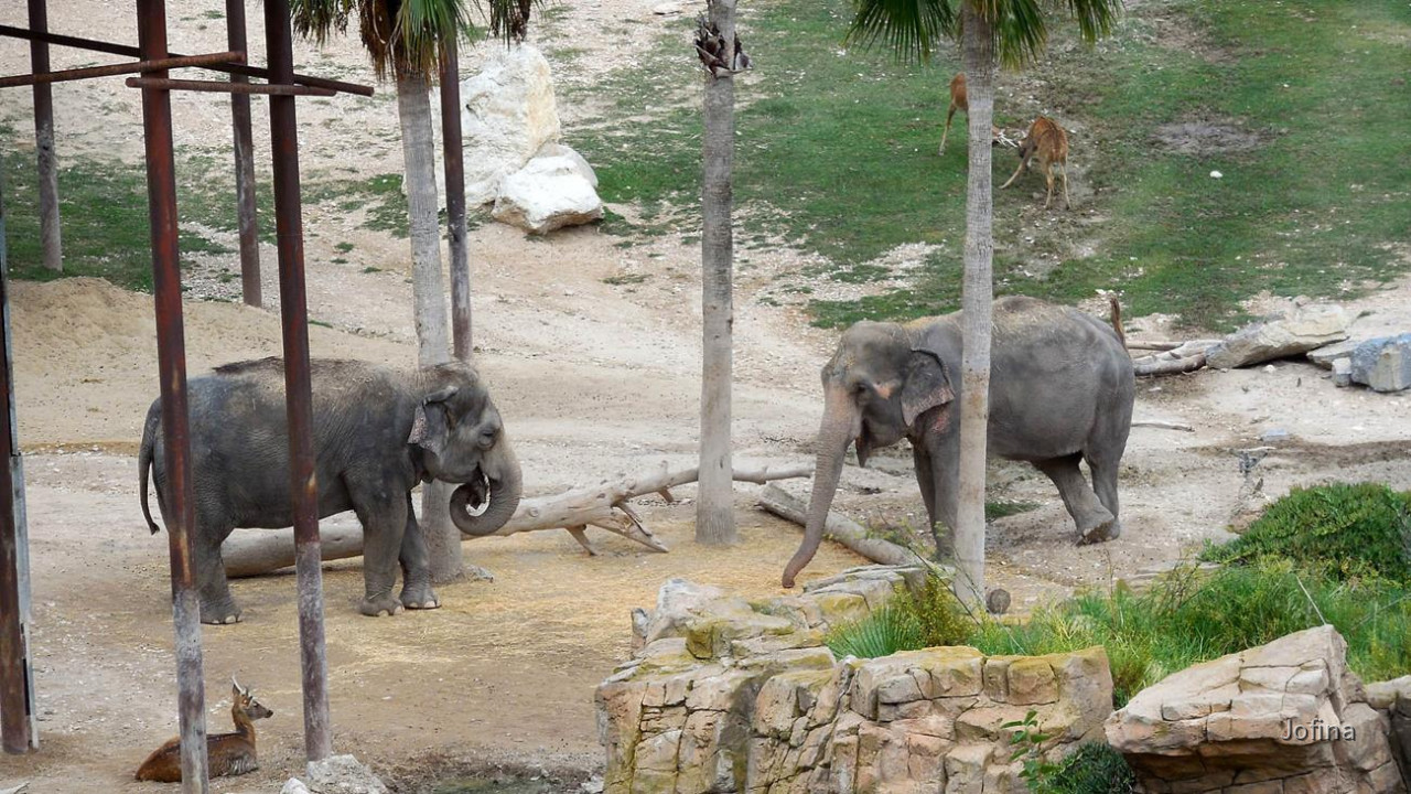 Terra Natura 07