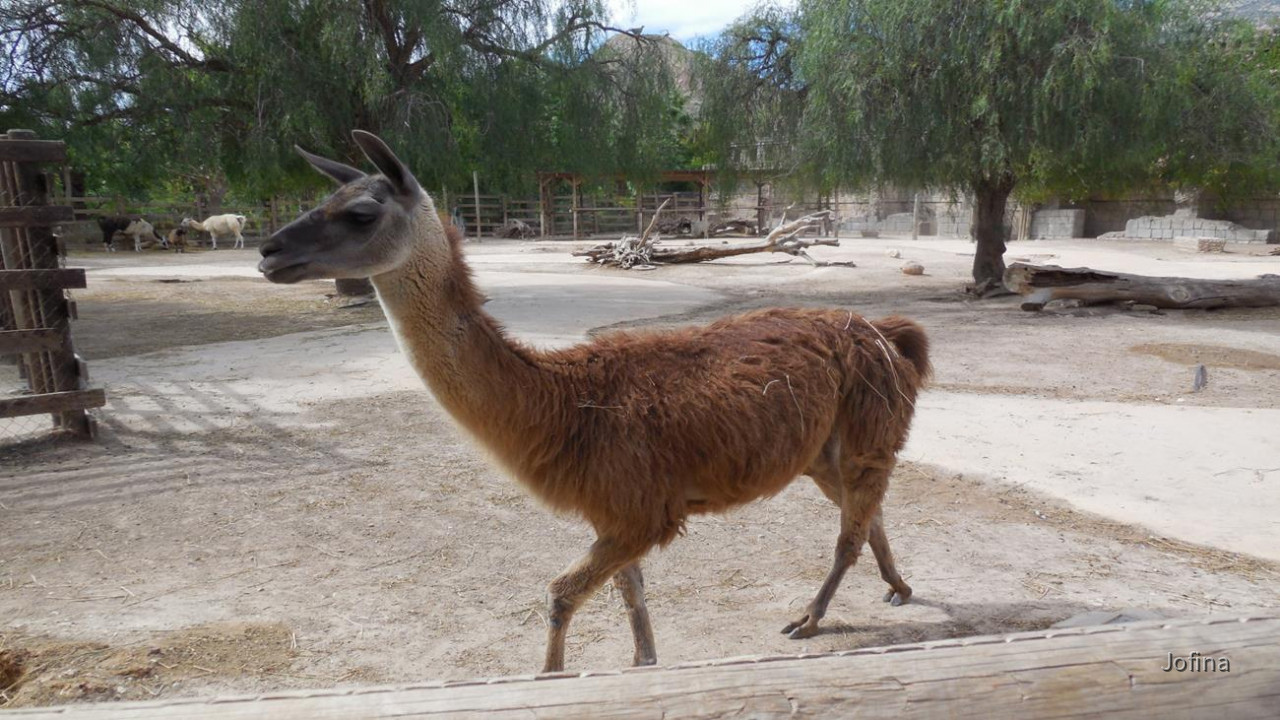 Terra Natura 12