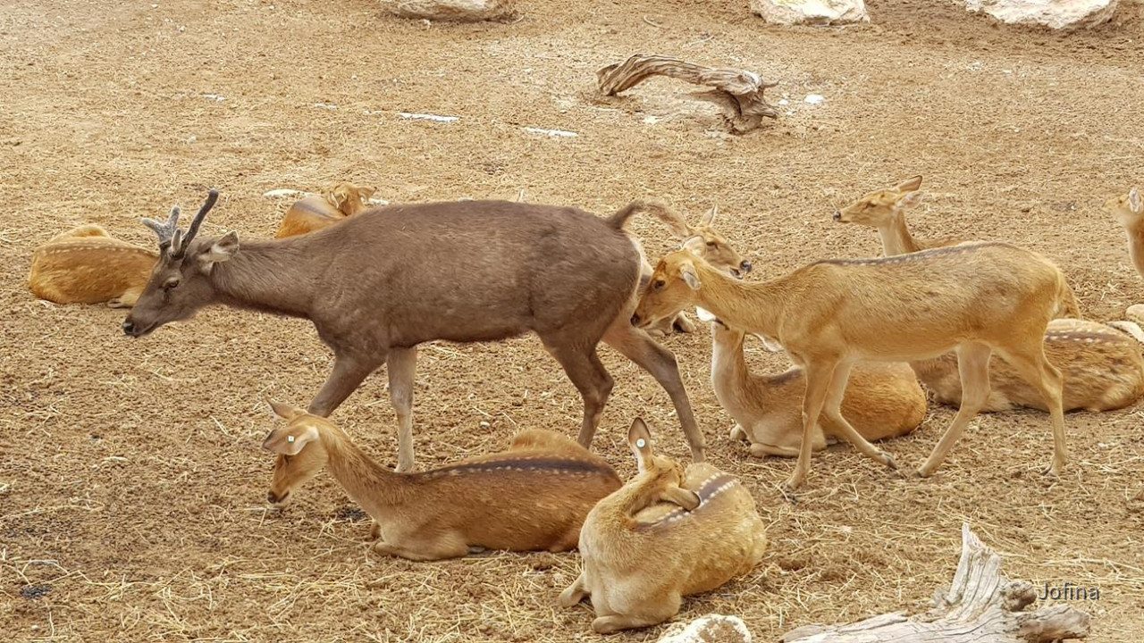 Terra Natura 13