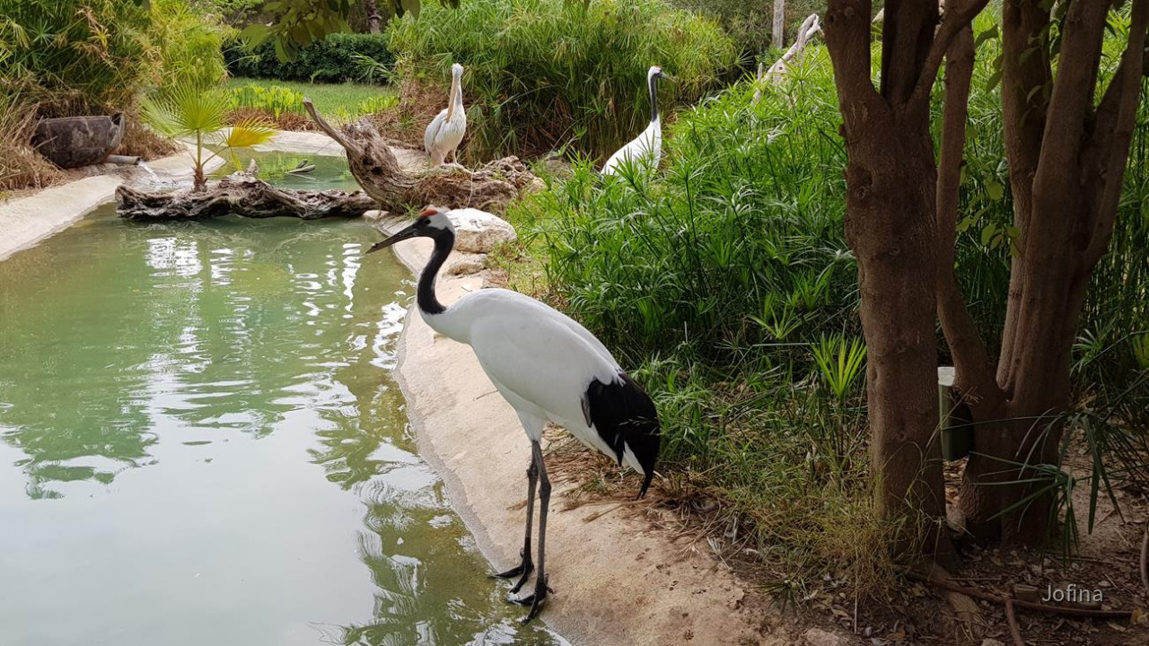 Terra Natura 22