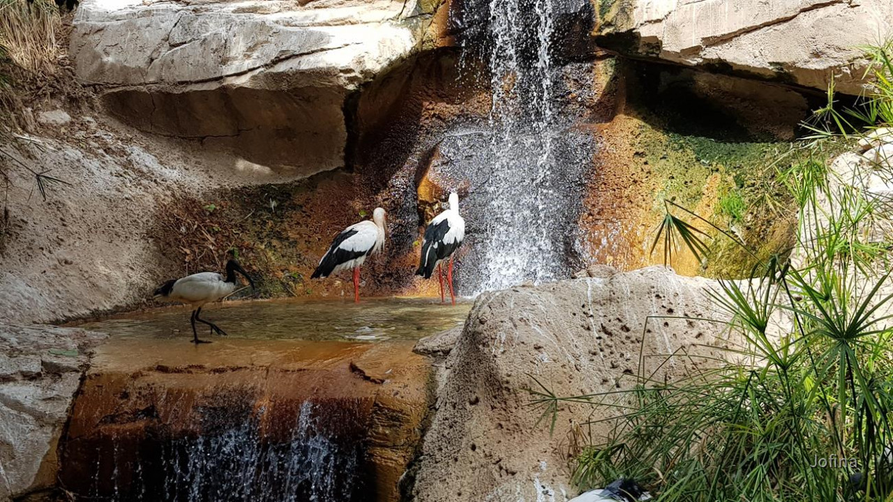 Terra Natura 23