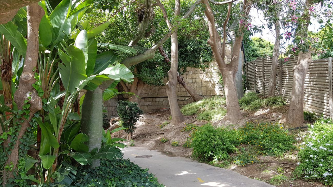 Terra Natura 24