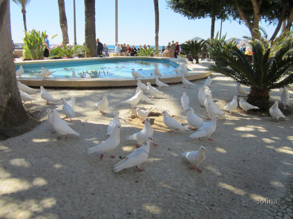 Benidorm 25