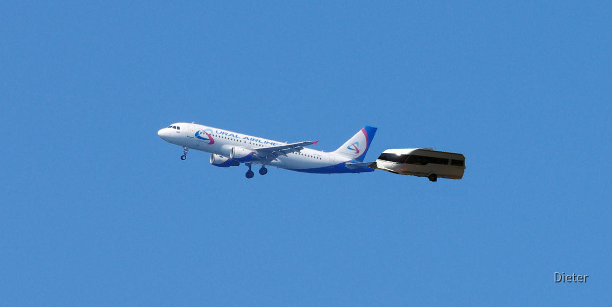 Fliegen