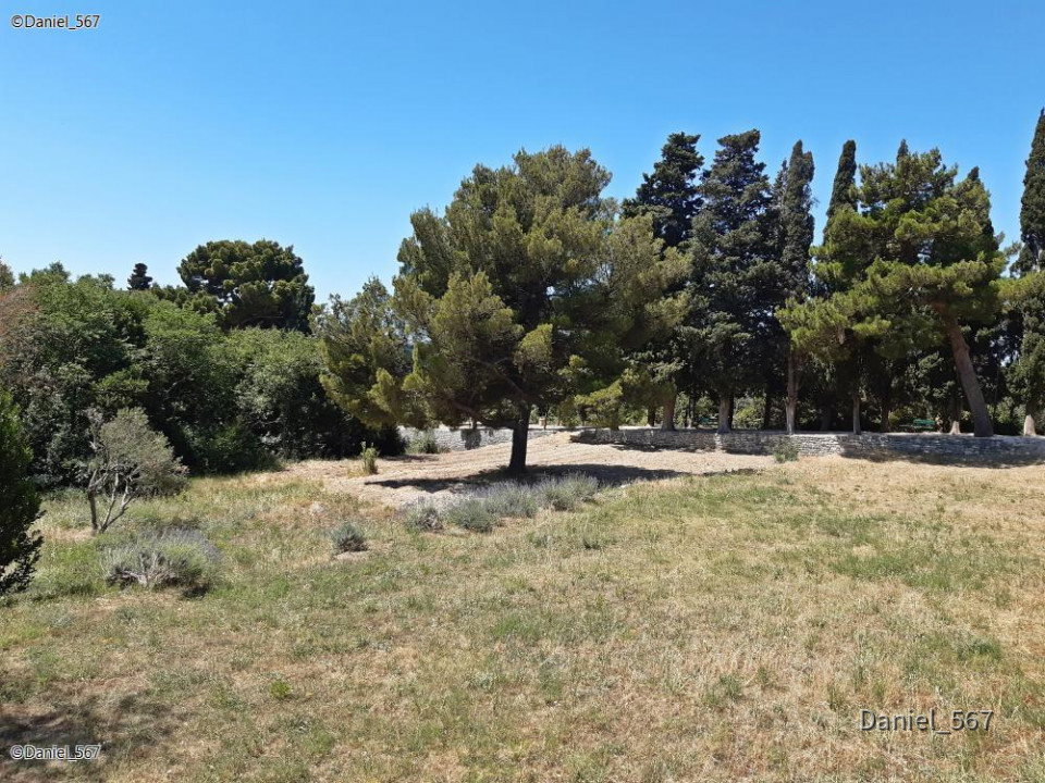 67_Solin Salona