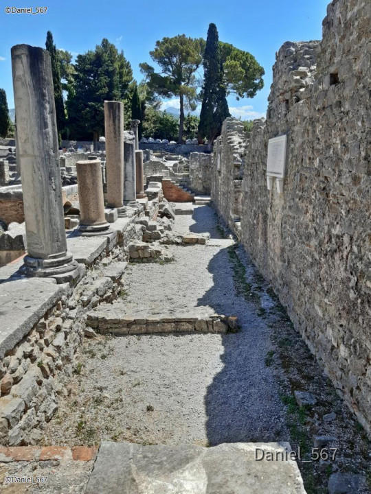 78_Solin Salona