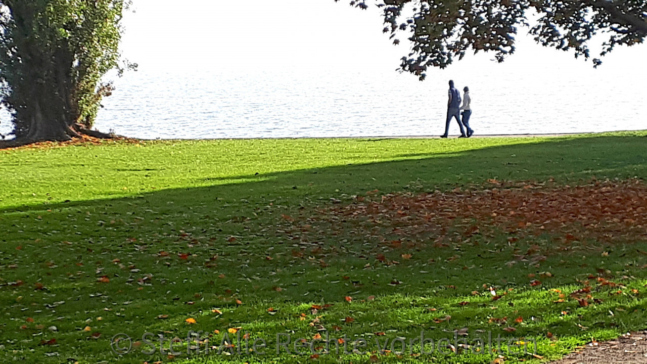 Badestelle Meersburg 2