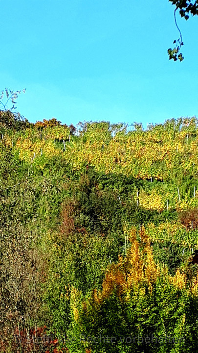 Herbst Meesburg