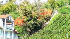 Meersburg