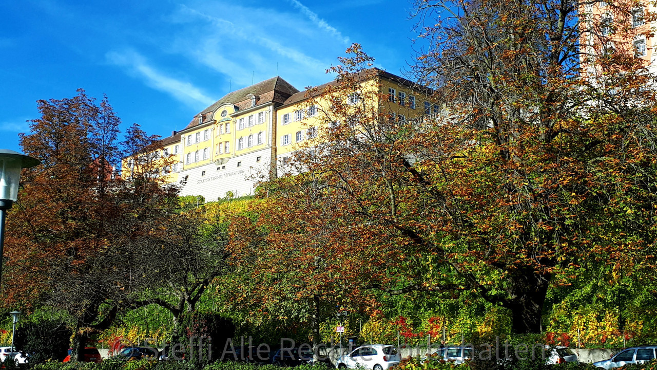 Staatsweingut Meersburg