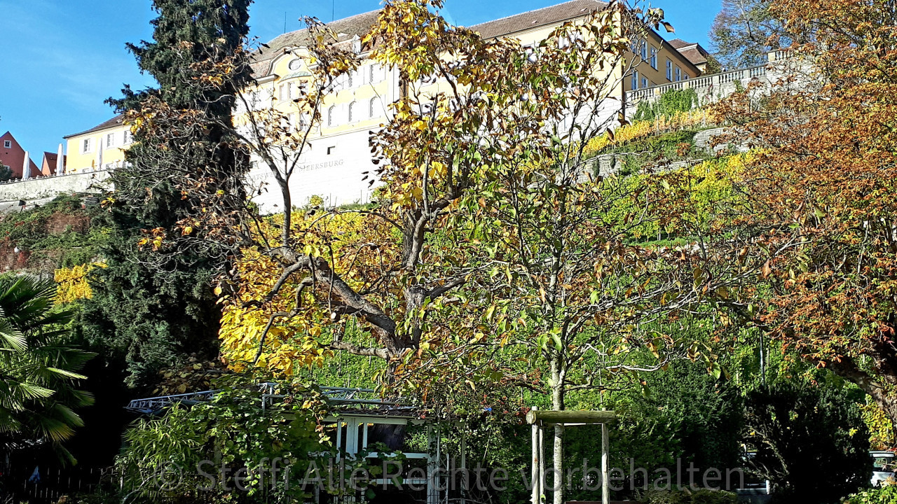 Steaatsweingut Meersburg 2