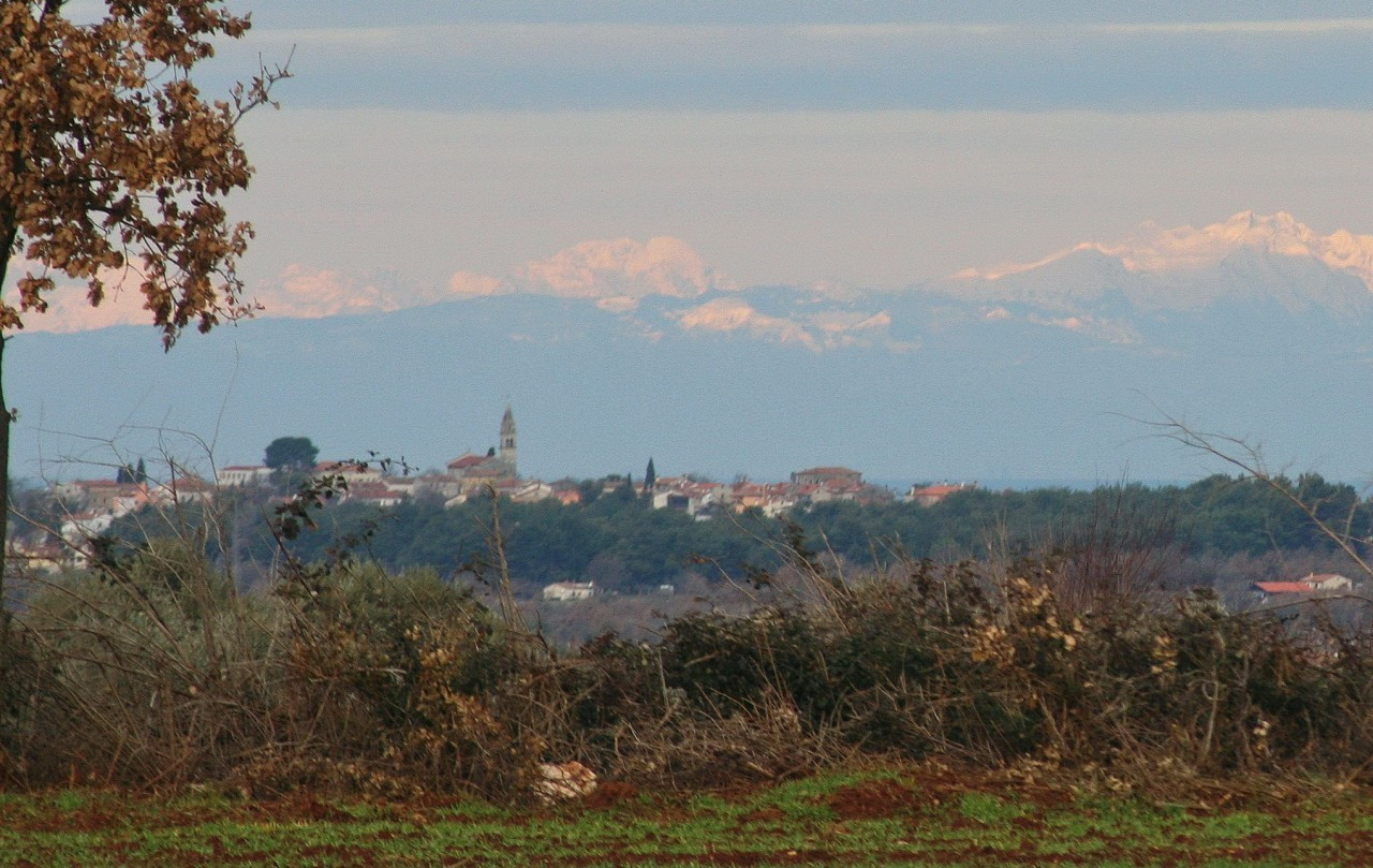 Tar Vabriga
