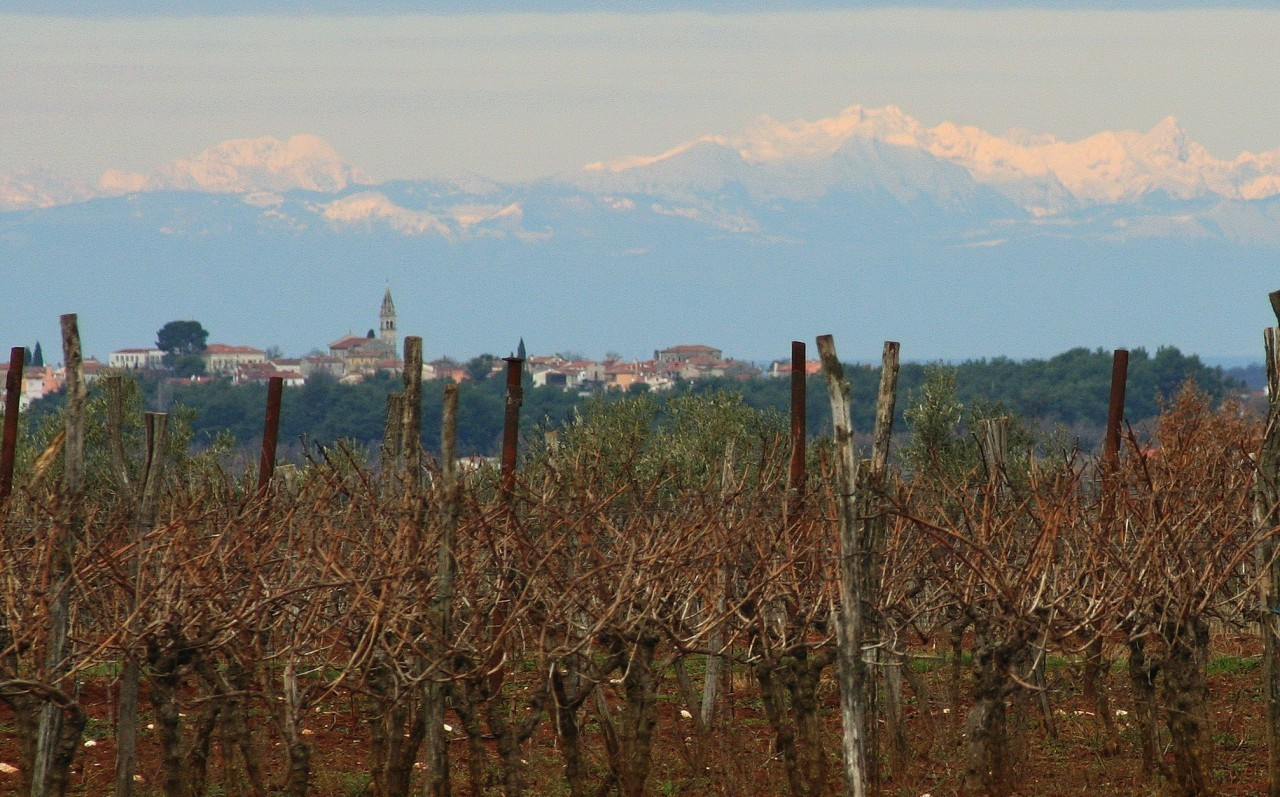 Tar Vabriga