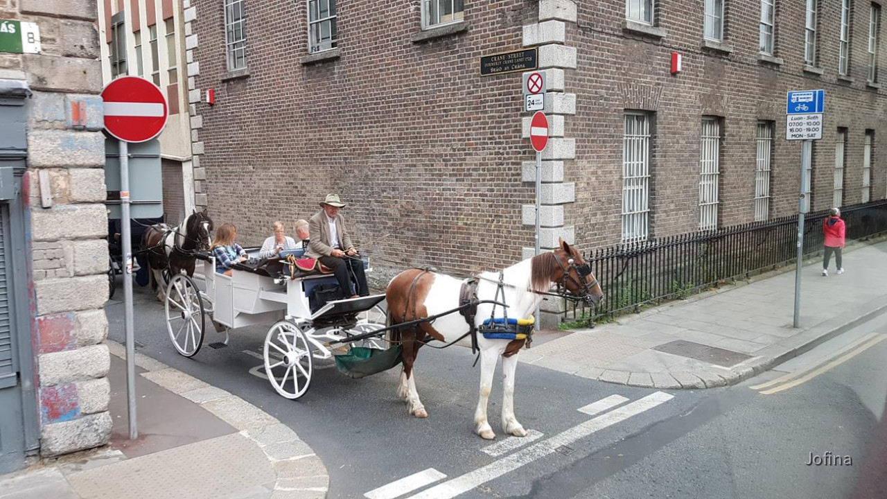 Dublin2 11