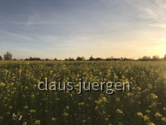 AF764057-2427-4A97-9DFB-F54FAFE7D402