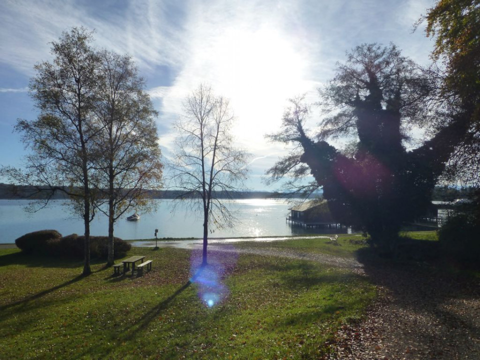 Morgen am Starnberger See1