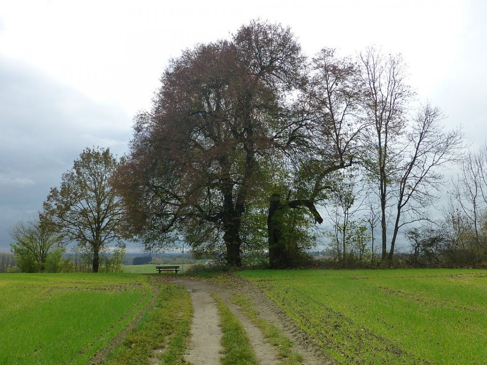 Mariabrunn Aussichtspunkt
