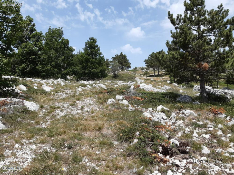 74_Biokovo Naturpark