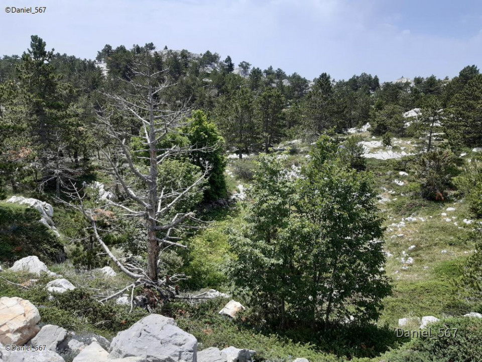 75_Biokovo Naturpark