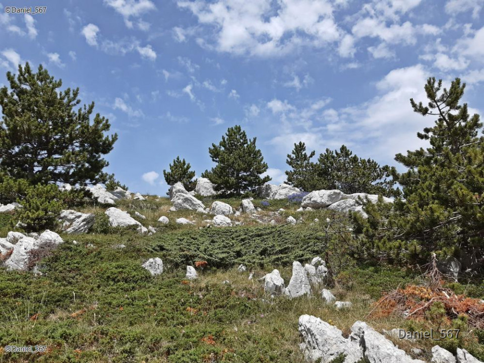 79_Biokovo Naturpark