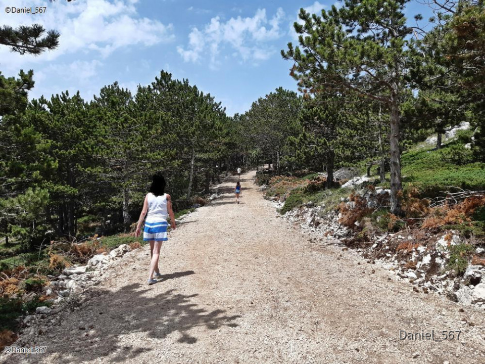 83_Biokovo Naturpark