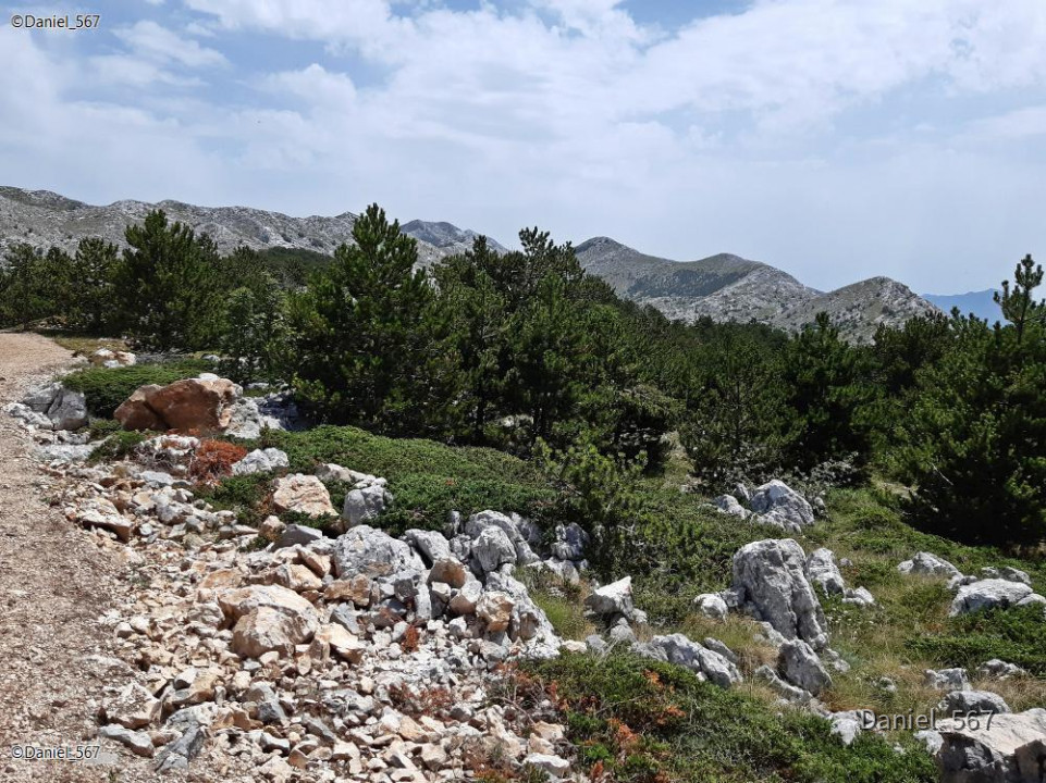 103_Biokovo Naturpark
