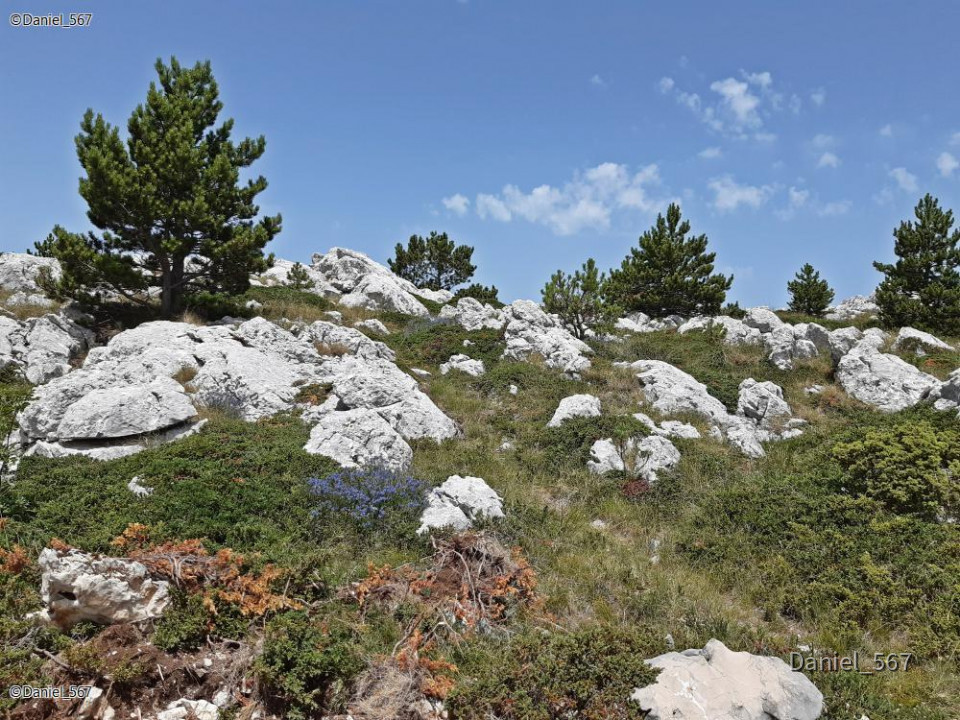 105_Biokovo Naturpark