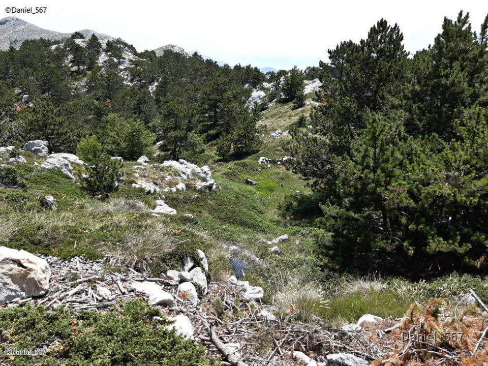 106_Biokovo Naturpark