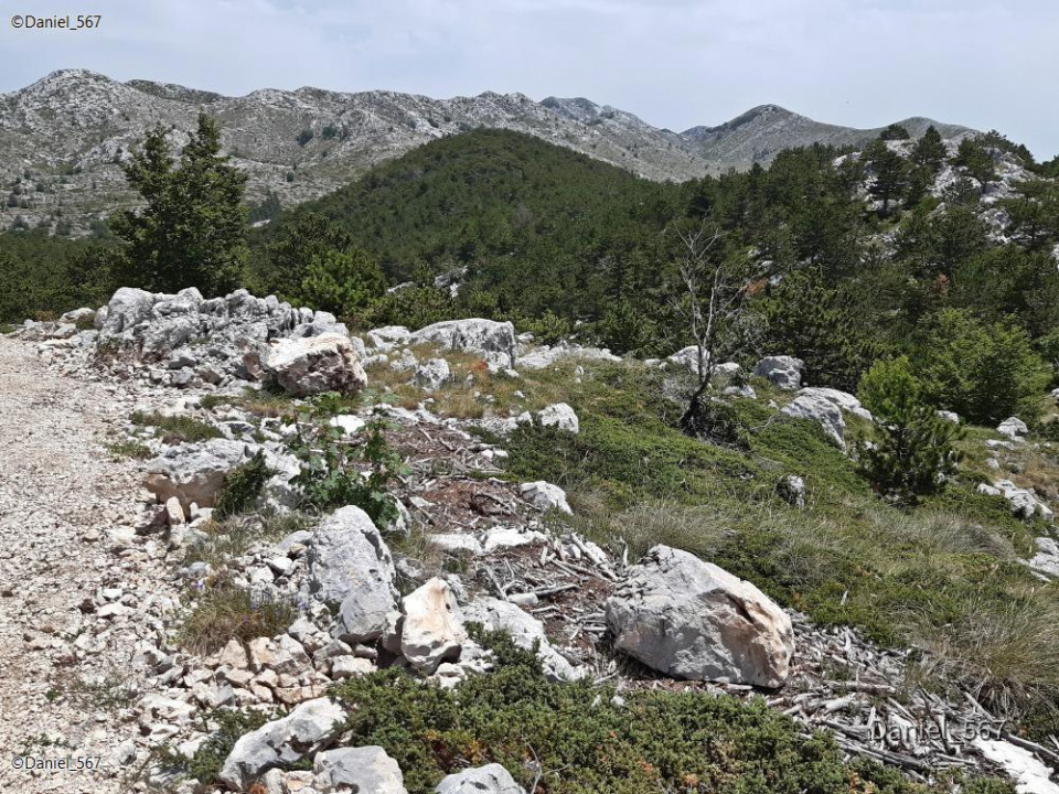 107_Biokovo Naturpark