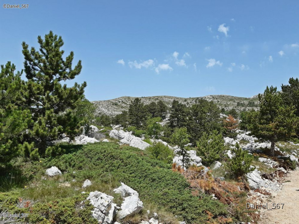 109_Biokovo Naturpark