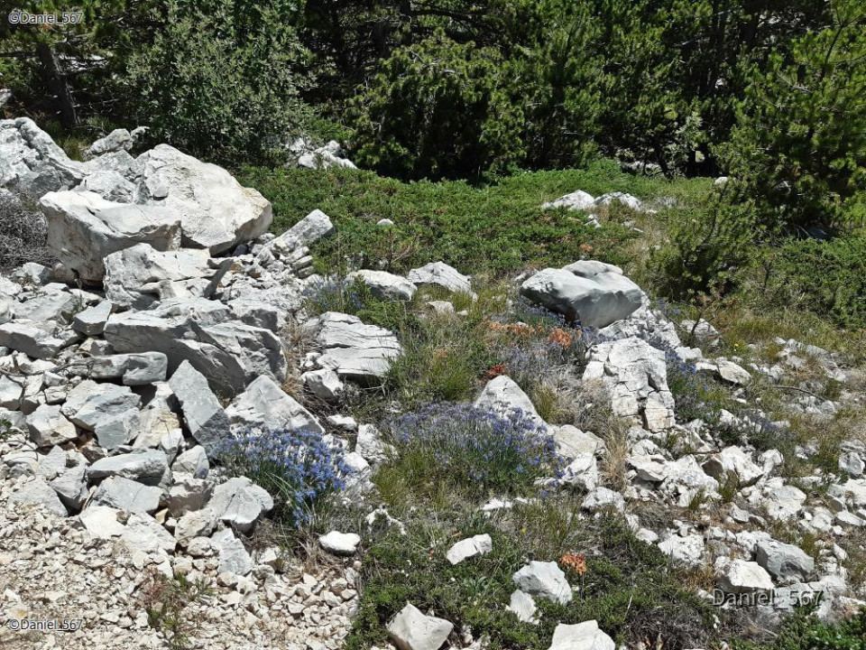112_Biokovo Naturpark