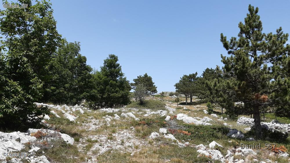 113_Biokovo Naturpark