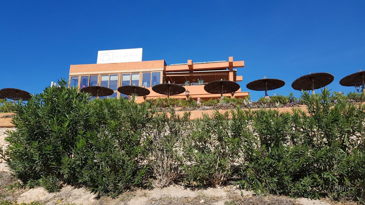 Paseo3 09