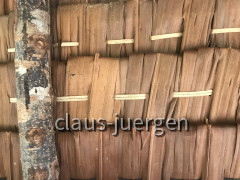 193D853E-E762-4275-91CE-CD0D32B0B123