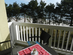 Binz